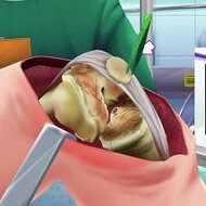 Knee Surgery Simulator