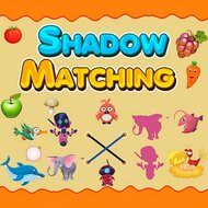 Shadow Matching