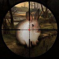 Classical Rabbit Hunting