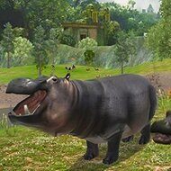 Wild Hippopotamus Hunting