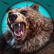 Wild Bear Hunting